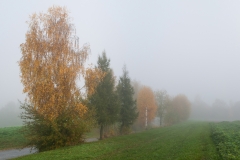 Herbststimmung-Pram-021