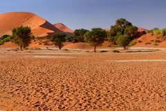 Namibia-J-0211-2