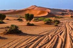 Namibia-J-0222-2-2