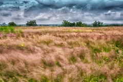 Neusiedlersee-1-58-extrem