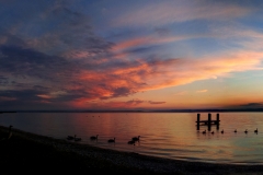 Panorama-Neusiedlersee-2