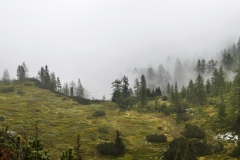 Panorama_Nebel1