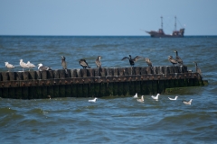 Ostsee-0697