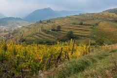 Wachau-010-11-1